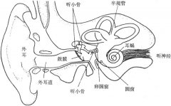 该如何从音色的角度来判断音响的好坏!